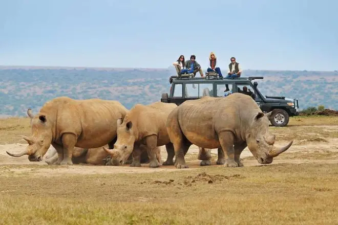 Rwanda Gruppen-Safari im Akagera: Big Five & Lake Ihema