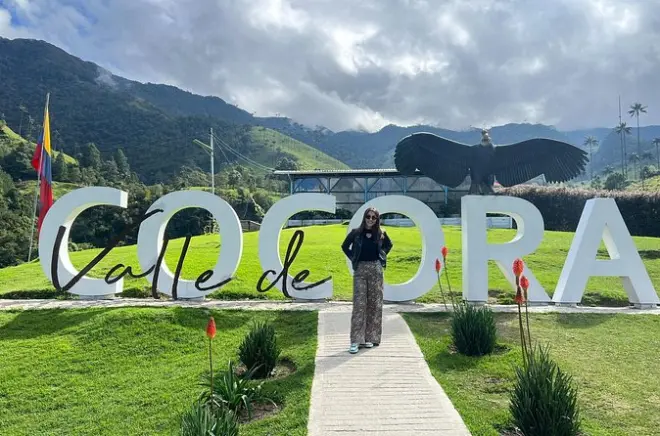 Cocora Valley tour from Salento: Walk among 60-meter wax palms