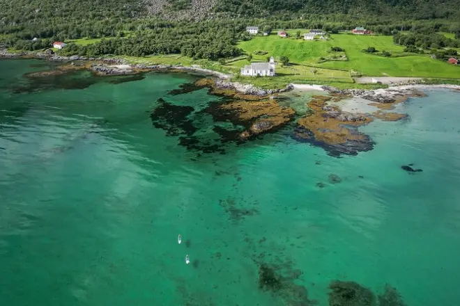 SUP Adventure in Lofoten Islands: Guided Paddle Boarding Tour