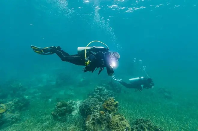 Scuba Diving in West End Roatan: Reef Sites Minutes from Shore