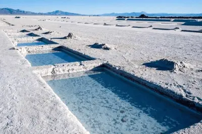 Tour de 2 dias em Salta: Vale do Vinho Cafayate e Salinas Grandes
