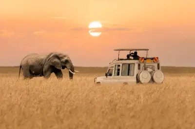 Safari privato 2 giorni: Tarangire e cratere di Ngorongoro