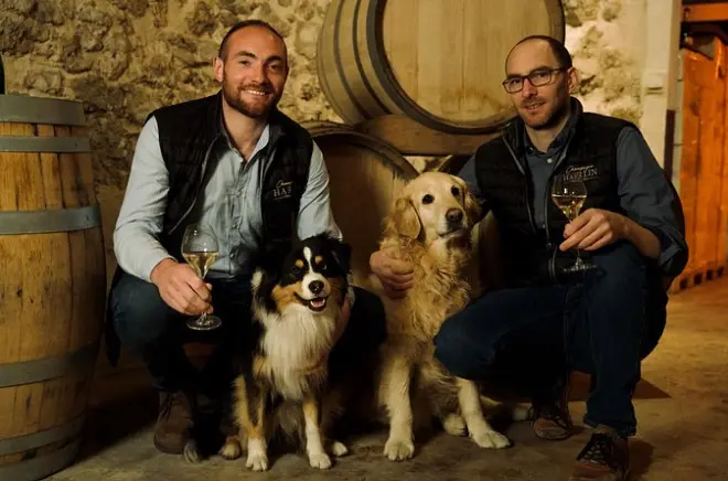 Tour degustazione Champagne Harlin: Cantina, produzione e tre calici