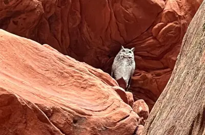 Quad jusqu’au canyon Peek-a-Boo, à 45 min de Zion depuis Kanab