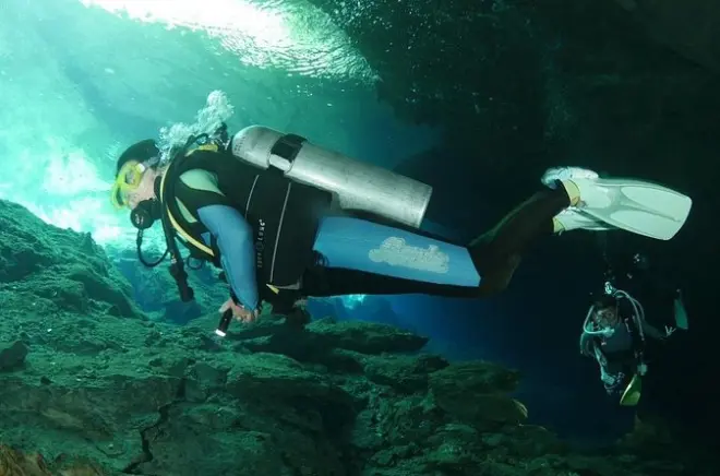 Mergulho em Tulum: 2 mergulhos em cenotes com almoço