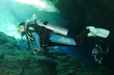 Mergulho em Tulum: 2 mergulhos em cenotes com almoço
