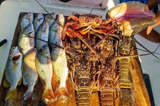 Snorkeling in Belize: Catch, Cook & Swim