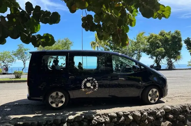 Tahiti Nui con guía: Geología, historia y cascadas