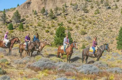 Paseo a caballo en Bariloche: Estepa patagónica con asado