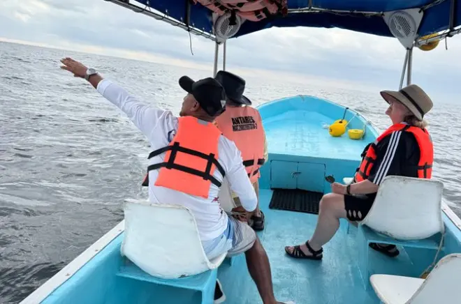 Huatulco Delfin- und Walbeobachtung: Meeressäuger