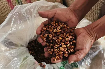 Secret Coffee Tour: Three Hidden Towns in Quindio
