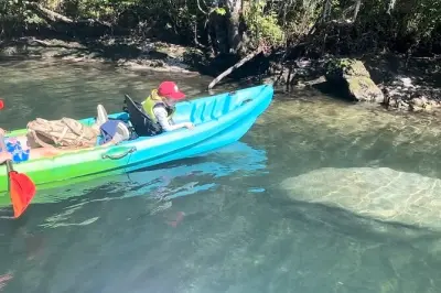 Kajak mieten in Crystal River zu den Three Sisters Springs