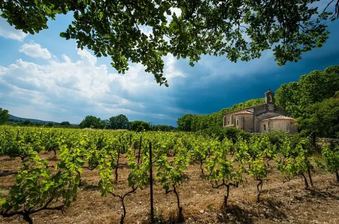 Tour del vino a Gaillac da Tolosa: Due degustazioni, minivan privato