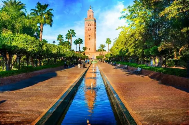 Marrakech day trip from Casablanca: Camel ride in the Palmeraie