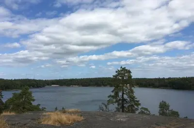 Stockholm Hiking Tour: Hellasgården Forest Trails & Lakes