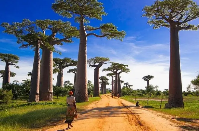 15-Day Private Photography Tour Madagascar: Baobabs to Tsingy