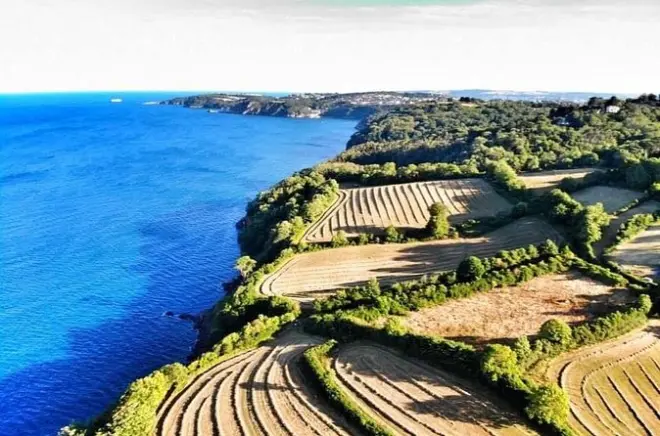 Aventura en South Devon: Senderos costeros y focas marinas