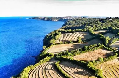 Aventura en South Devon: Senderos costeros y focas marinas