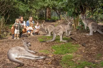Merimbula Wetlands Tour: Tierwelt & Küstenklippen