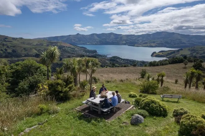Akaroa nature et histoire : Visite privée avec guide 7e génération