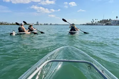 Kayak transparent à Clearwater Beach : Excursion faune marine