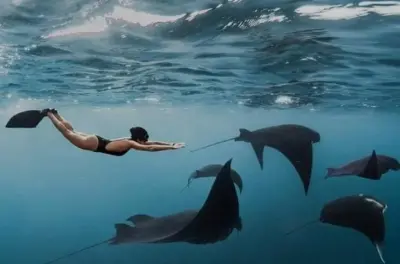 Snorkeling a Nusa Penida da Bali: Mante e scogliere costiere