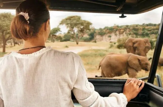 Safari a Pilanesberg: Big Five in veicoli aperti e chiusi