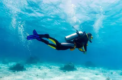 Mergulhe em Angra dos Reis com instrutores PADI compartilhados