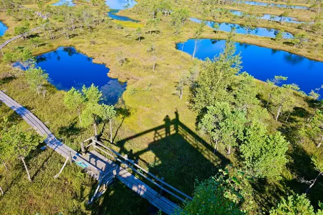 Ķemeri Bog Tour from Riga: Guided Boardwalk with Biologist
