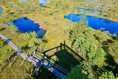 Paseo guiado por el pantano Ķemeri desde Riga con biólogo experto