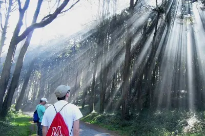 Caminhada privada no parque Sintra-Cascais com rotas sob medida