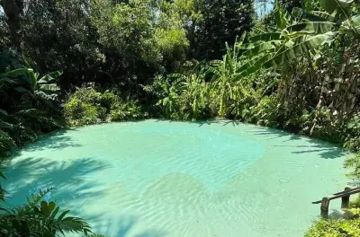 6-Day Jalapão Tour from Palmas: Waterfalls & Natural Pools