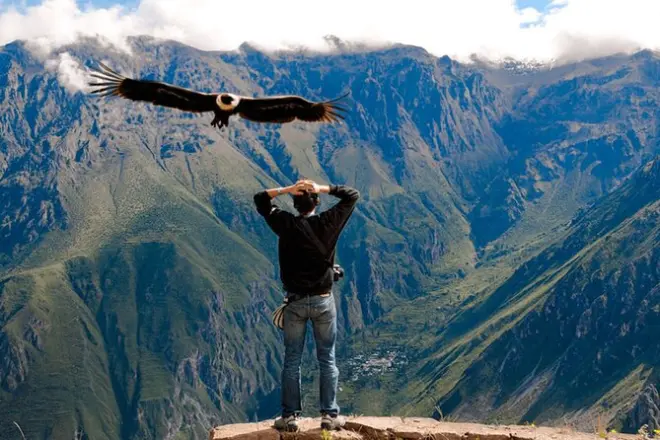 Colca Canyon 2 giorni: Mirador dei condor e sorgenti termali
