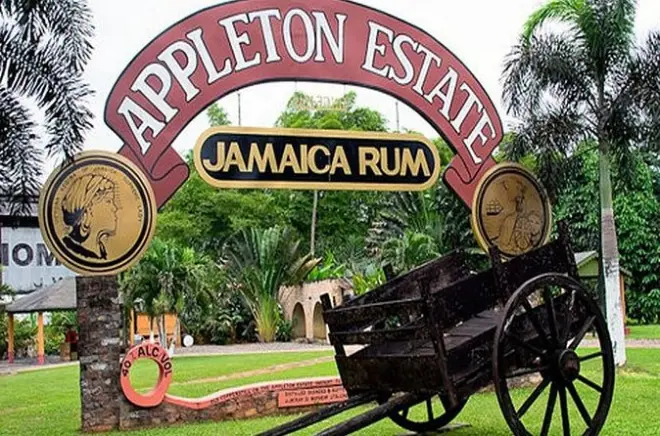 Tour privado pela Black River e Appleton Rum saindo de Negril