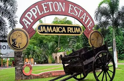Private Tour Appleton Rum Estate und Black River ab Negril