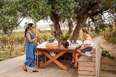 Degustación privada de vino en la bodega Lyrarakis en Heraklion