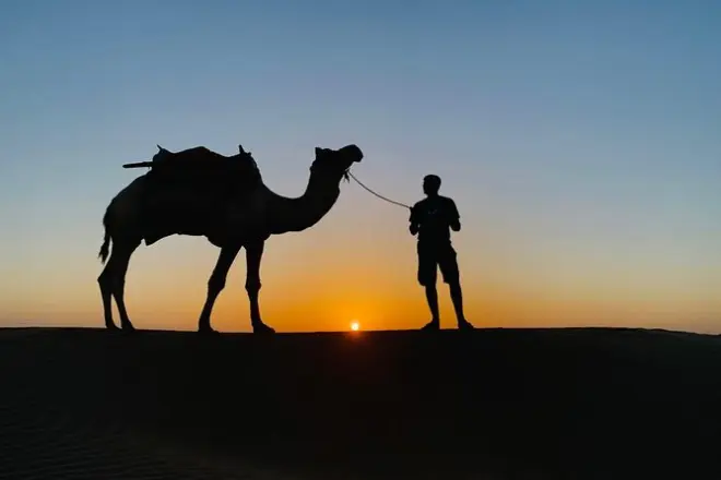 2-Day Camel Safari Jaisalmer: Overnight in the Thar Desert