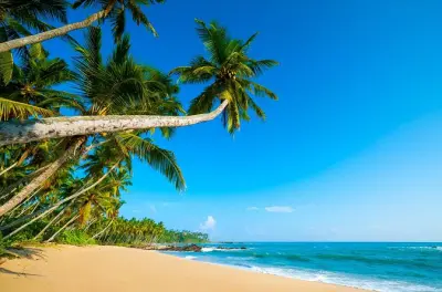 São Tomé Island Tour: Coffee, Waterfalls & Villages