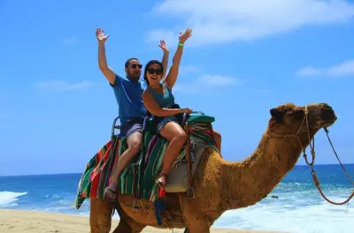 Kamelritt und Glasboot-Tour in Los Cabos