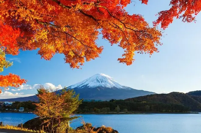 Narita nach Mount Fuji oder Hakone Onsen: Privater Flughafentransfer
