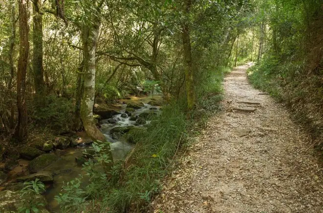 Parco statale di Vila Velha e Buraco do Padre da Curitiba