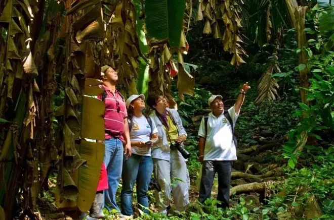 Zipline no vulcão Mombacho: 17 plataformas na floresta tropical