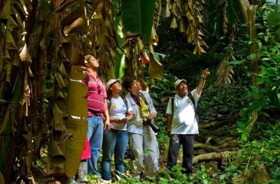 Zipline no vulcão Mombacho: 17 plataformas na floresta tropical