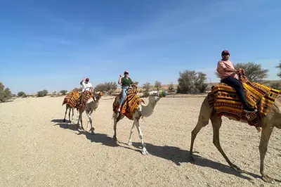 Deserto di Riyadh: Giro in cammello e lago Oasis al tramonto