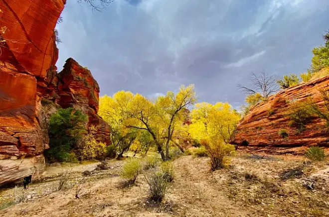 ATV Riding in East Zion: Four Hours of Rocky Terrain & Sand