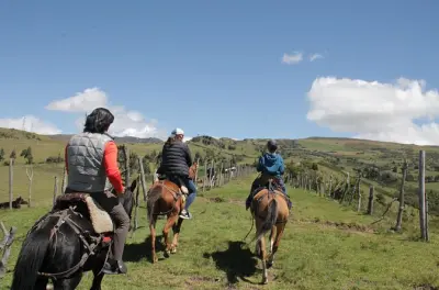 Pferdereiten bei Quito: Rosenfarm & Hochlandpfade