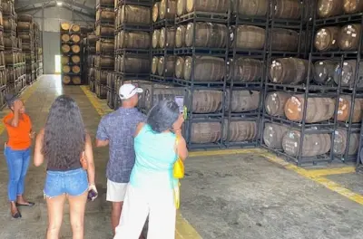 Atelier chocolat et rhum à Marigot Bay au départ de Castries