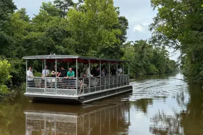 Louisiana Bayou Sumpf-Tour ab New Orleans: Überdachtes Boot