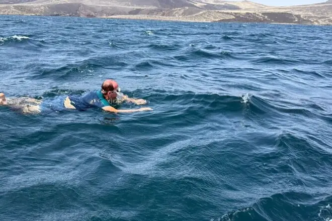 Rencontre requins-baleines et baignade au lac Assal, Djibouti