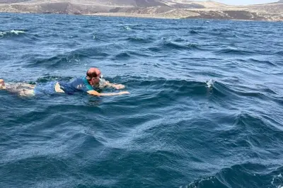 Nade com tubarões-baleia e visite o lago Assal em Djibouti